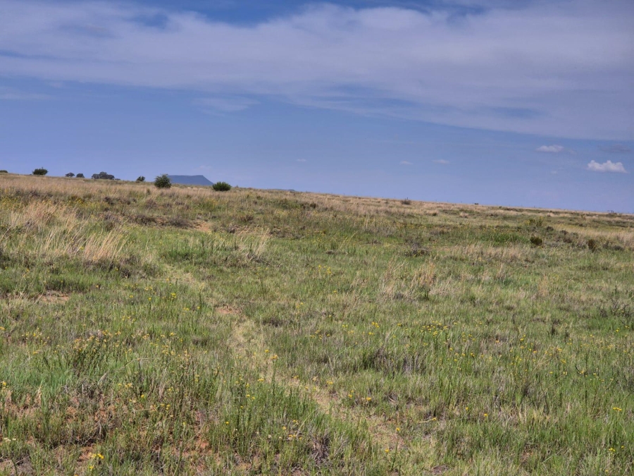 0 Bedroom Property for Sale in Bloemfontein Rural Free State